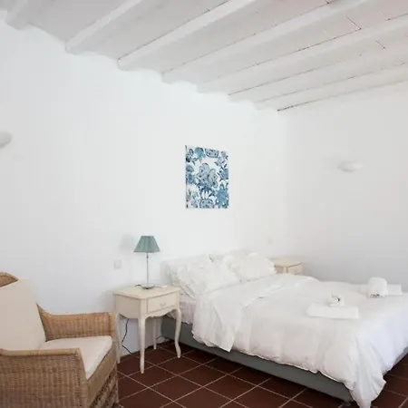 Mykonian Private 2 Bd With Private Pool * Ftelia (Mykonos)